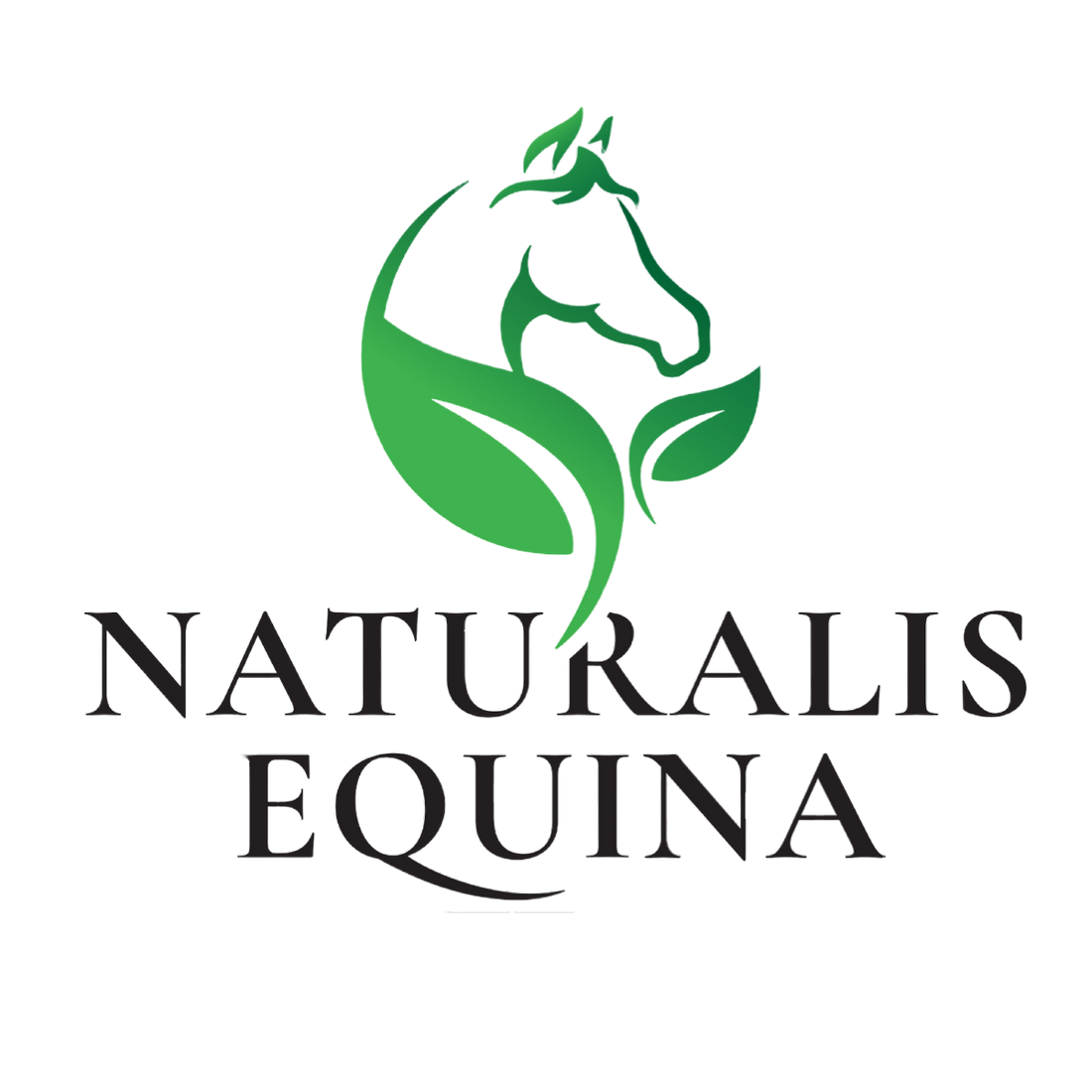 NATURALIS EQUINA   - dall'esigenza al brand è questione di scintilla
