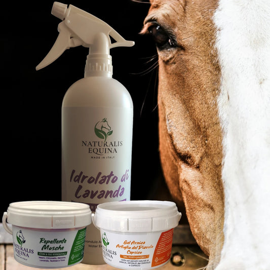 KIT STAGIONE COMPLETA