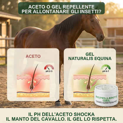 REPELLENTE MOSCHE in GEL