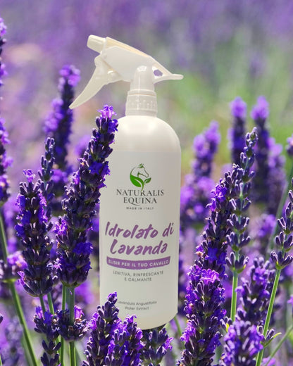 IDROLATO DI LAVANDA veterinaria "Naturalis Equina"