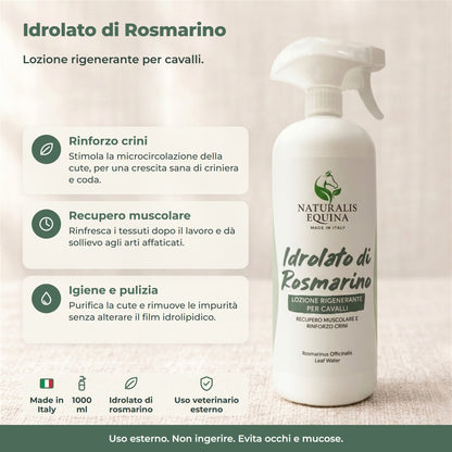 IDROLATO di ROSMARINO