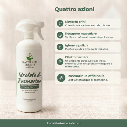 IDROLATO di ROSMARINO